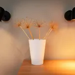 Apartment Maloca' Joffre